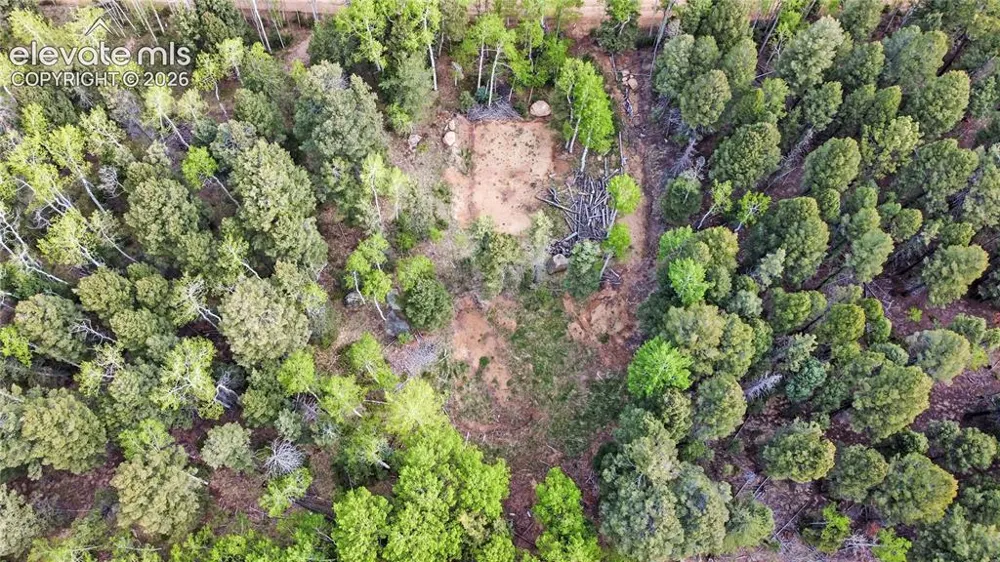 714 Will Stutley Drive Divide, CO 80814