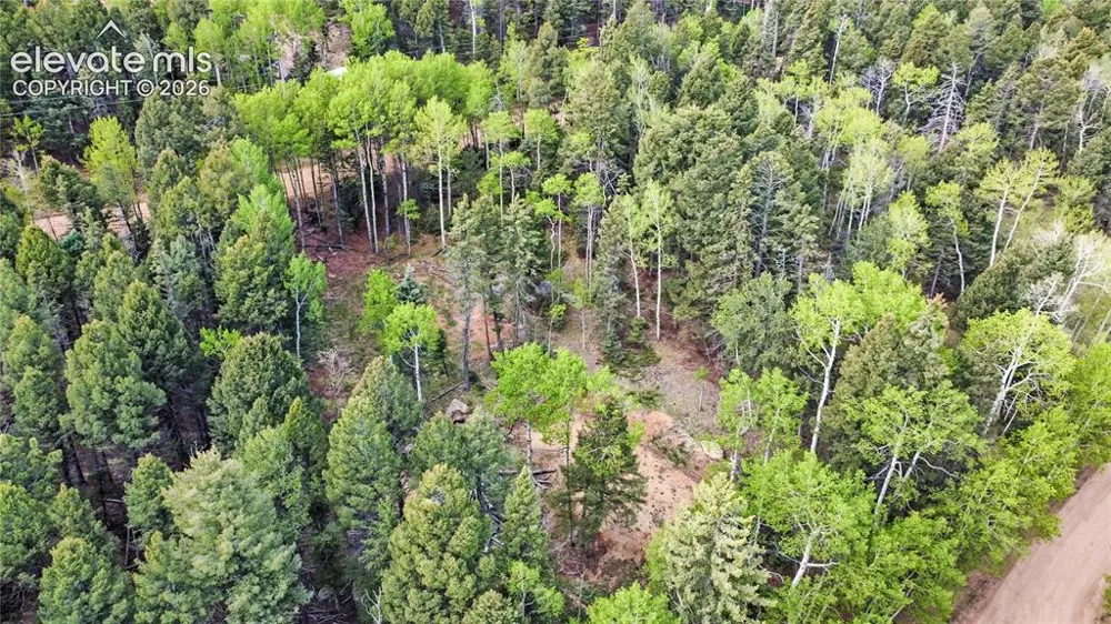 714 Will Stutley Drive Divide, CO 80814