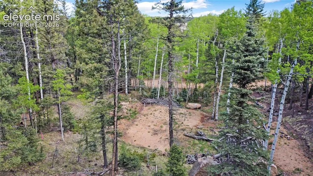 714 Will Stutley Drive Divide, CO 80814
