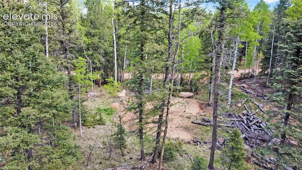 714 Will Stutley Drive Divide, CO 80814