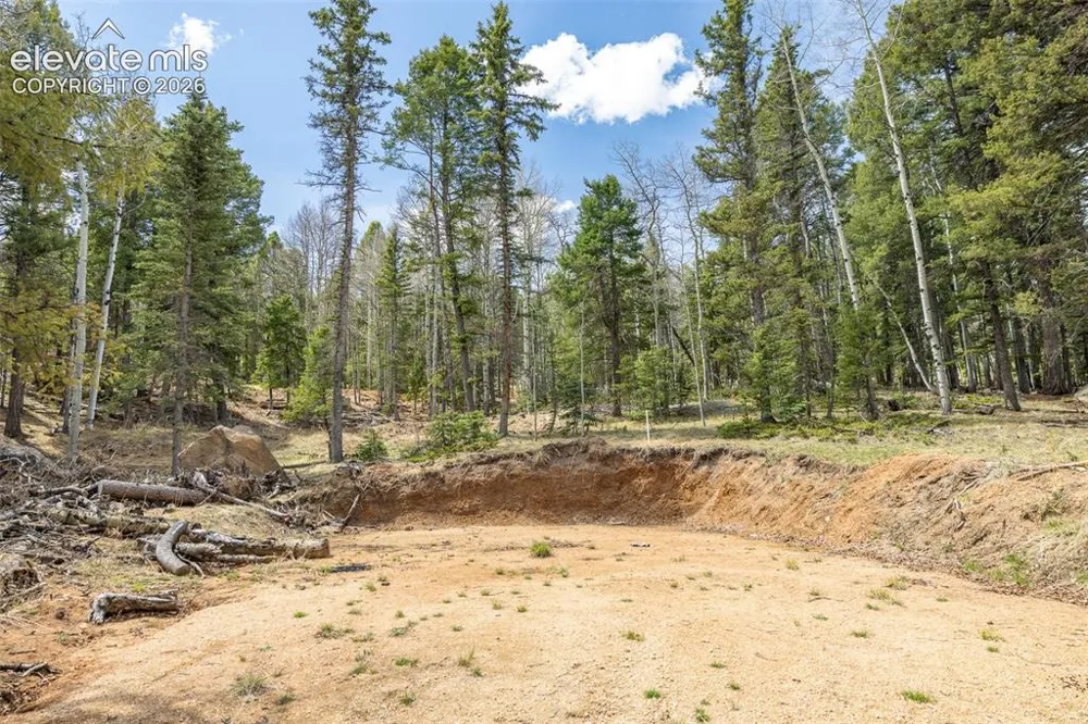 714 Will Stutley Drive Divide, CO 80814