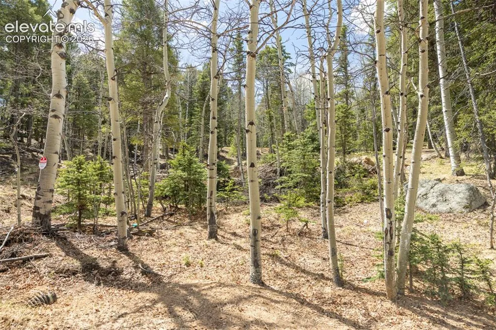 714 Will Stutley Drive Divide, CO 80814