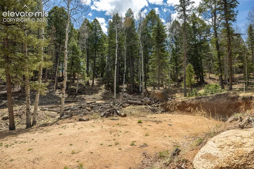 714 Will Stutley Drive Divide, CO 80814