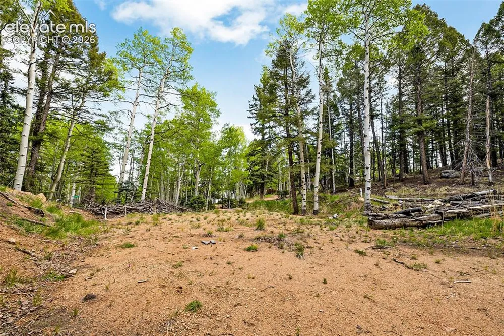 714 Will Stutley Drive Divide, CO 80814