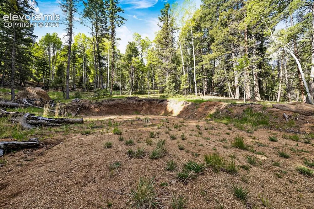 714 Will Stutley Drive Divide, CO 80814