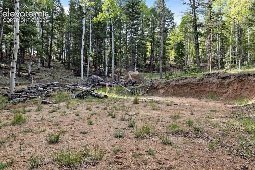714 Will Stutley Drive Divide, CO 80814