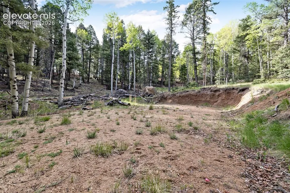 714 Will Stutley Drive Divide, CO 80814