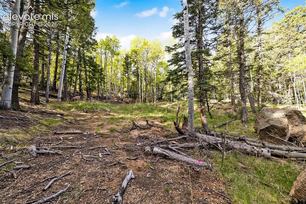 714 Will Stutley Drive Divide, CO 80814