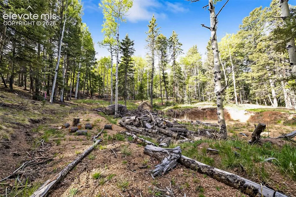 714 Will Stutley Drive Divide, CO 80814