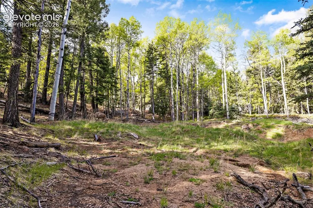 714 Will Stutley Drive Divide, CO 80814