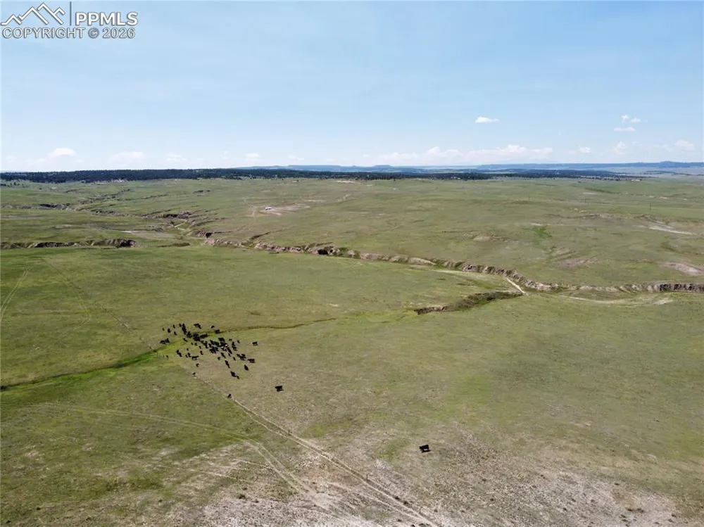 Lot 8 County Road 77 Calhan, CO 80808