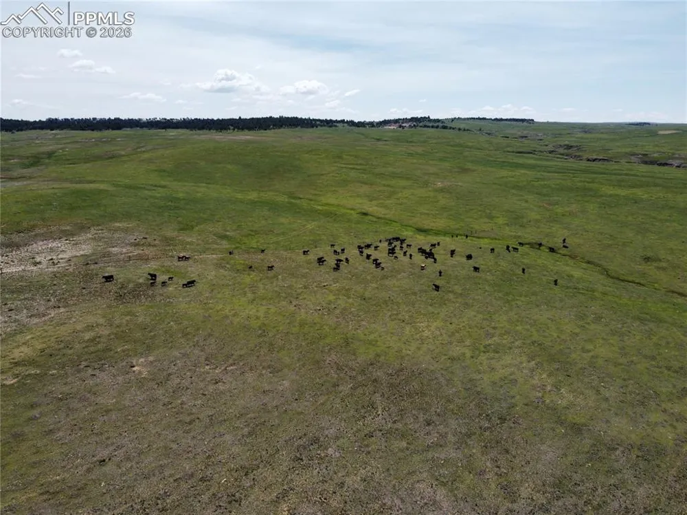 Lot 8 County Road 77 Calhan, CO 80808