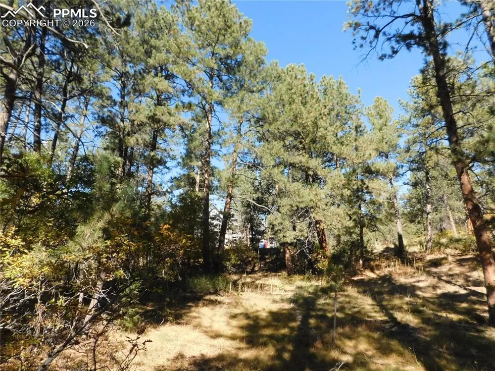 682 Copper Fox Place Larkspur, CO 80118