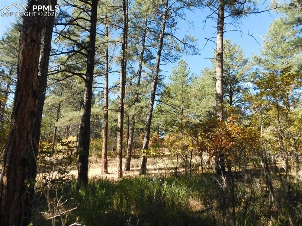 682 Copper Fox Place Larkspur, CO 80118