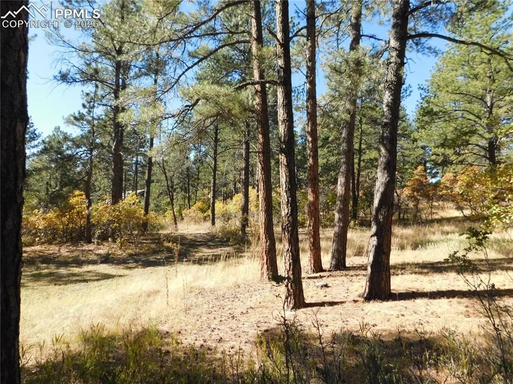 682 Copper Fox Place Larkspur, CO 80118