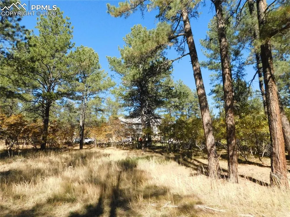 682 Copper Fox Place Larkspur, CO 80118