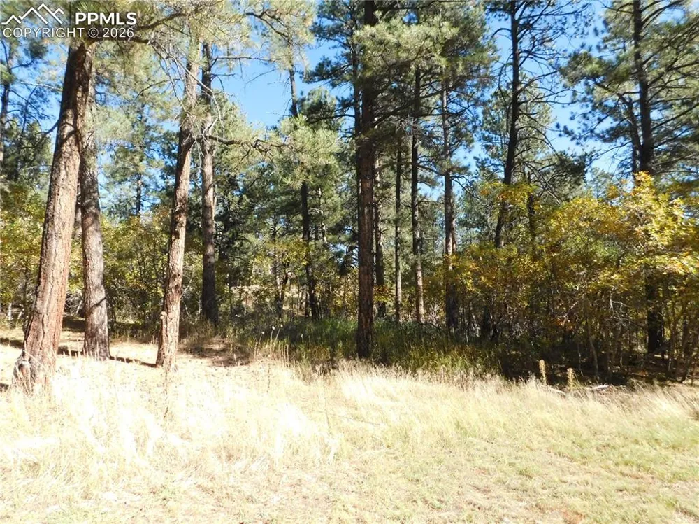 682 Copper Fox Place Larkspur, CO 80118