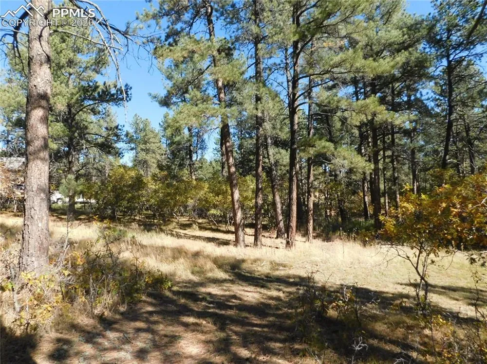 682 Copper Fox Place Larkspur, CO 80118