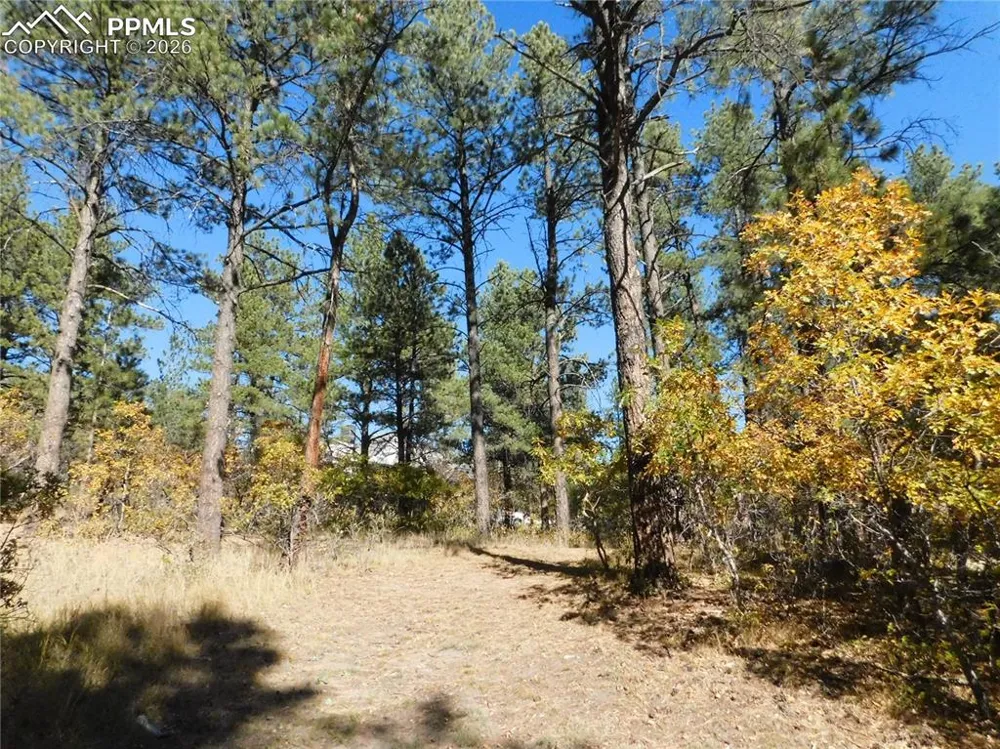682 Copper Fox Place Larkspur, CO 80118