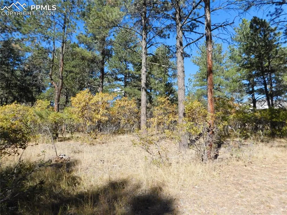 682 Copper Fox Place Larkspur, CO 80118