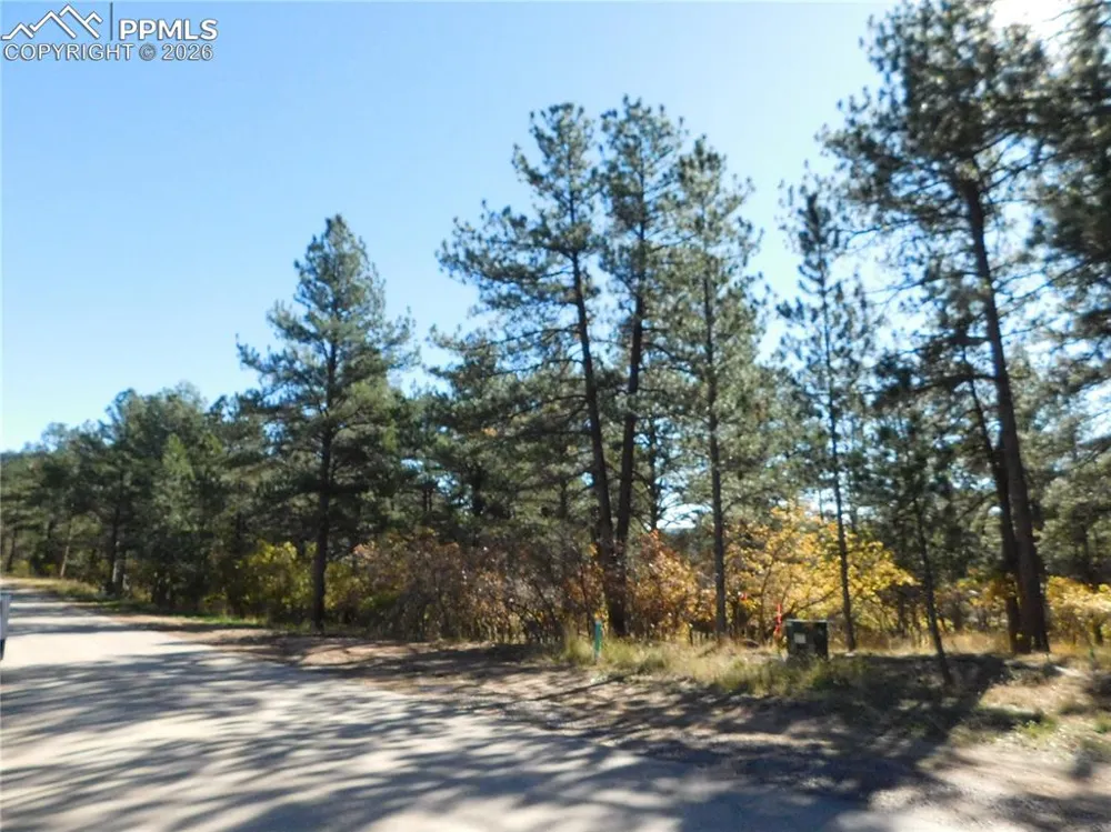 682 Copper Fox Place Larkspur, CO 80118