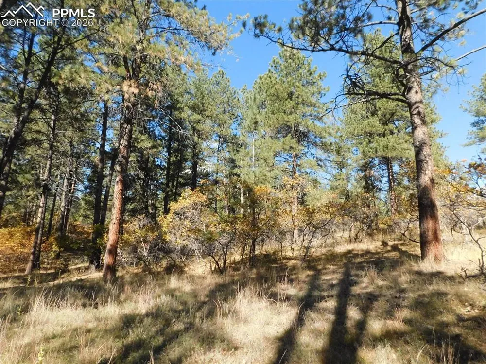 682 Copper Fox Place Larkspur, CO 80118