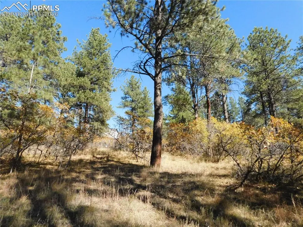 682 Copper Fox Place Larkspur, CO 80118