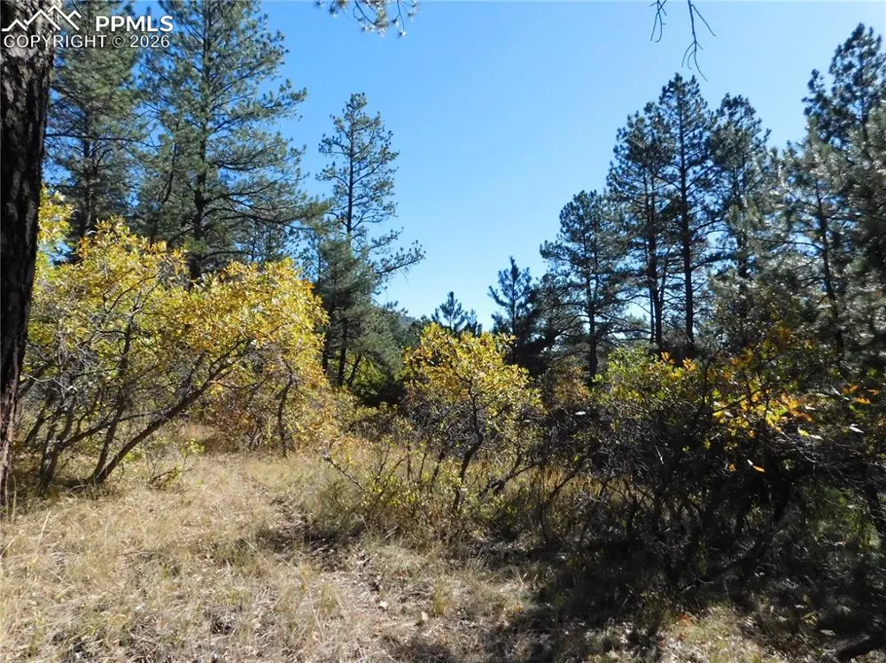 682 Copper Fox Place Larkspur, CO 80118