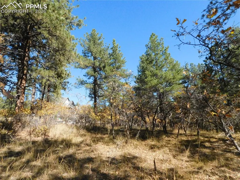 682 Copper Fox Place Larkspur, CO 80118
