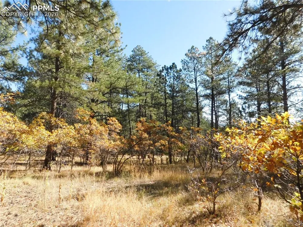 682 Copper Fox Place Larkspur, CO 80118