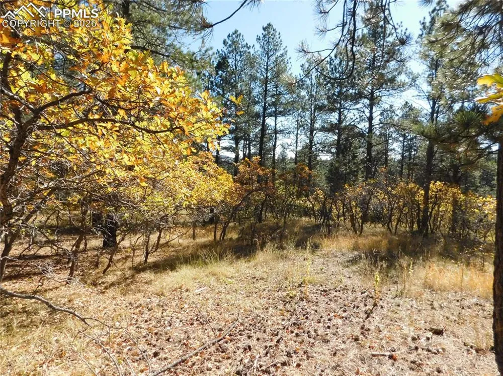 682 Copper Fox Place Larkspur, CO 80118