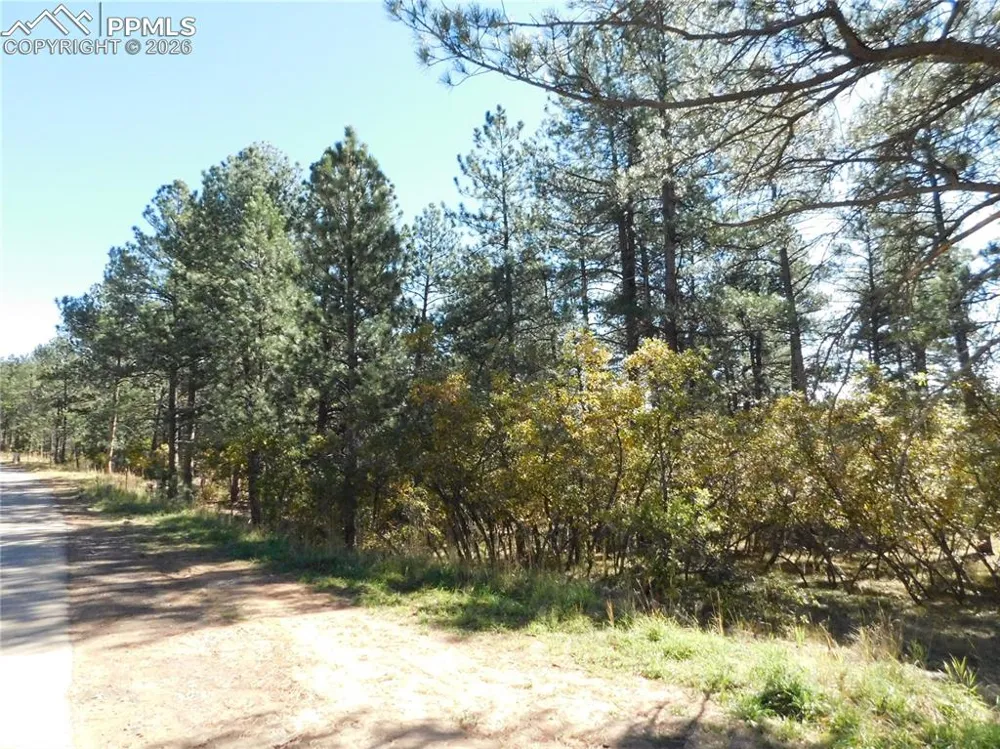 682 Copper Fox Place Larkspur, CO 80118
