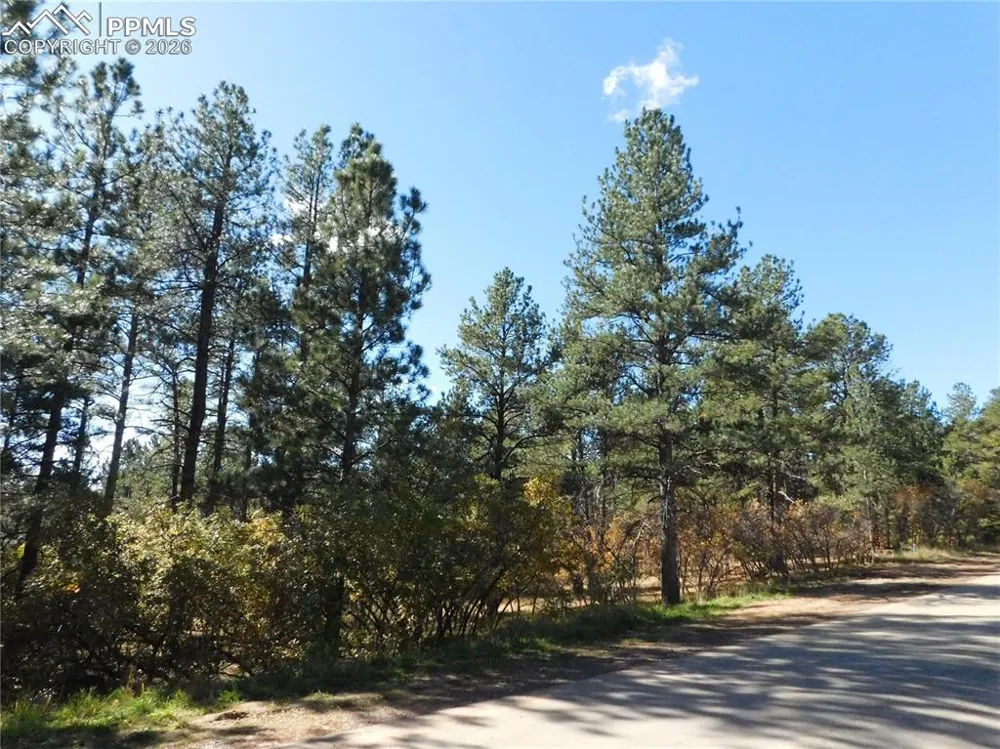 682 Copper Fox Place Larkspur, CO 80118