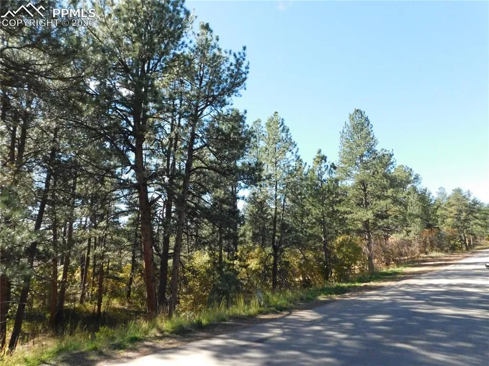 682 Copper Fox Place Larkspur, CO 80118