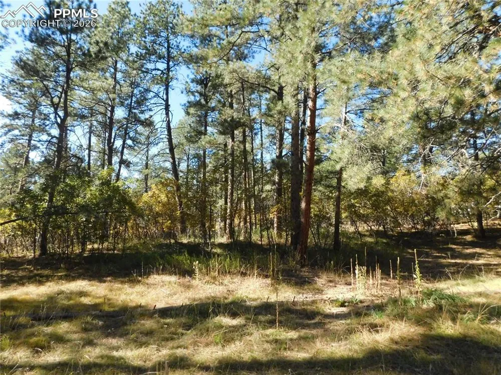 682 Copper Fox Place Larkspur, CO 80118