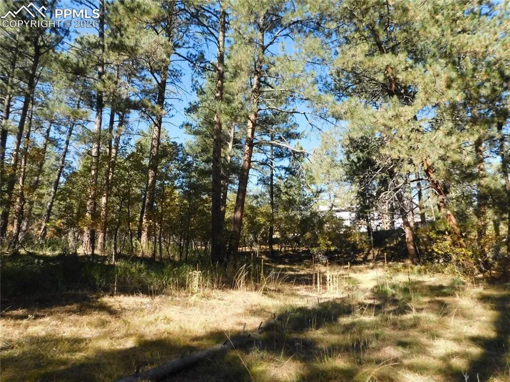682 Copper Fox Place Larkspur, CO 80118