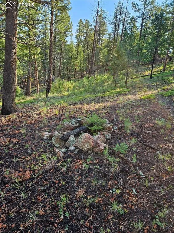 1117 Appleby Drive Sedalia, CO 80135