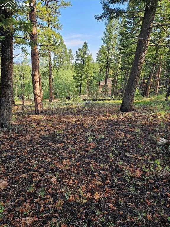 1117 Appleby Drive Sedalia, CO 80135