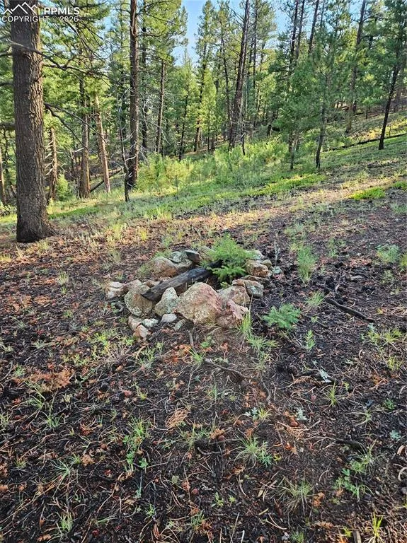 1117 Appleby Drive Sedalia, CO 80135