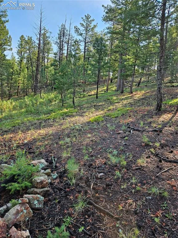 1117 Appleby Drive Sedalia, CO 80135