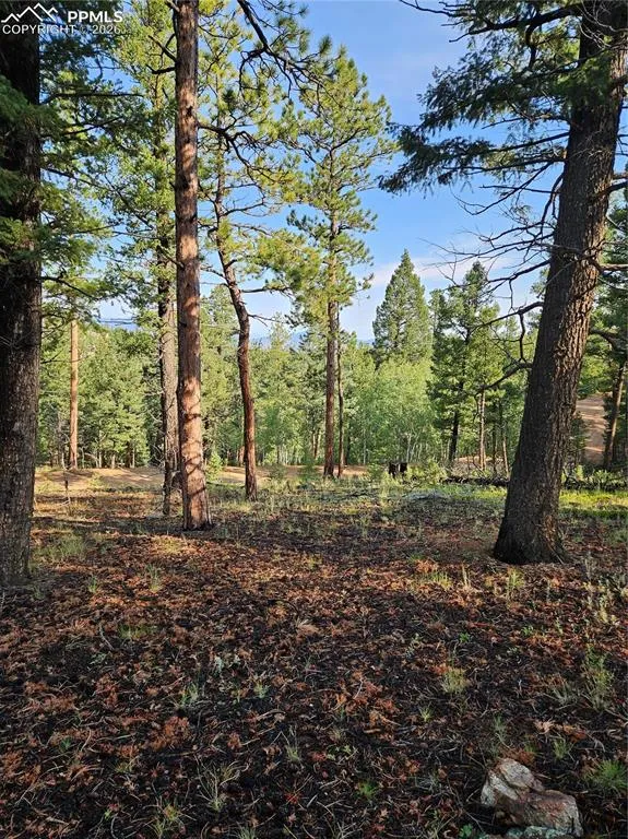 1117 Appleby Drive Sedalia, CO 80135