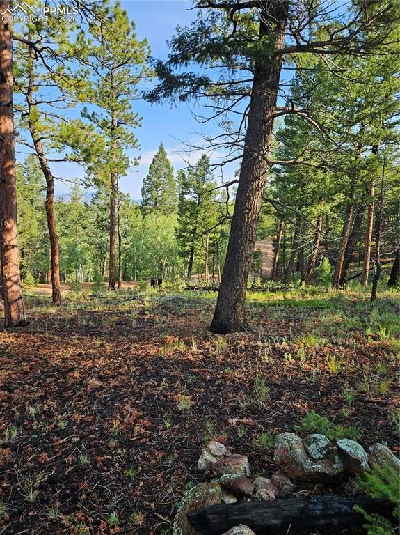 1117 Appleby Drive Sedalia, CO 80135