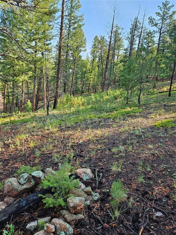 1117 Appleby Drive Sedalia, CO 80135