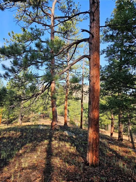 1117 Appleby Drive Sedalia, CO 80135