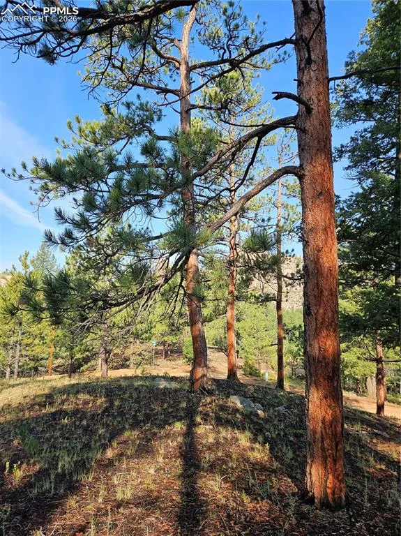 1117 Appleby Drive Sedalia, CO 80135