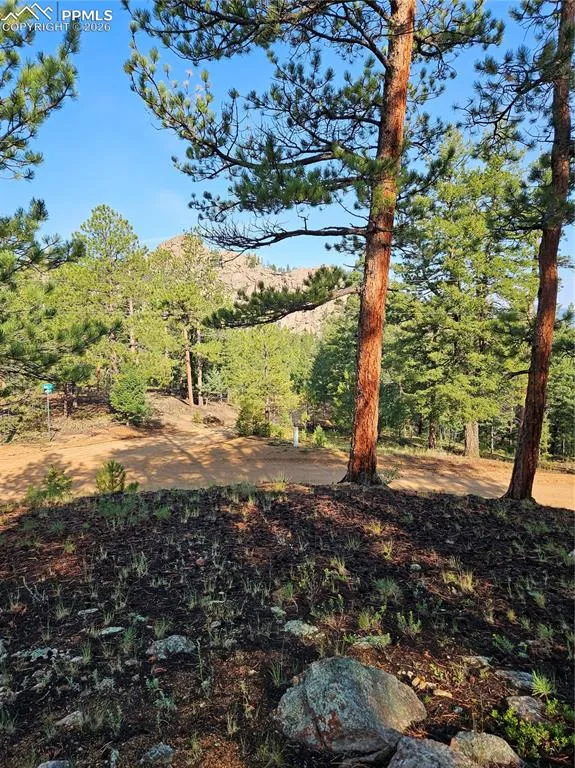 1117 Appleby Drive Sedalia, CO 80135