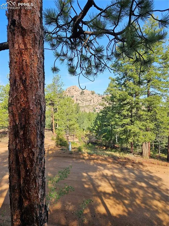 1117 Appleby Drive Sedalia, CO 80135