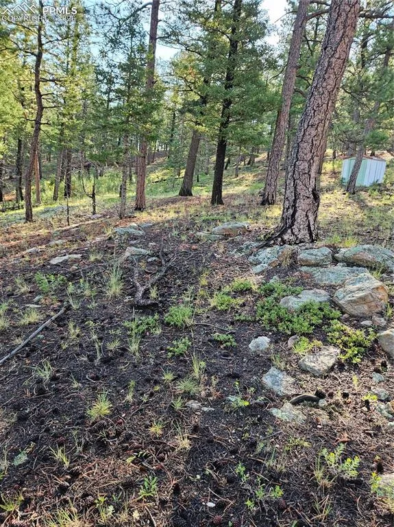 1117 Appleby Drive Sedalia, CO 80135