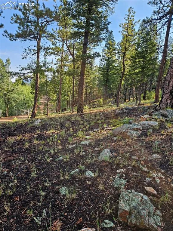 1117 Appleby Drive Sedalia, CO 80135