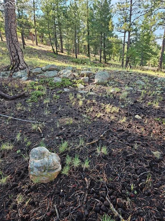 1117 Appleby Drive Sedalia, CO 80135